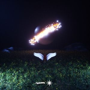 Never (Single)