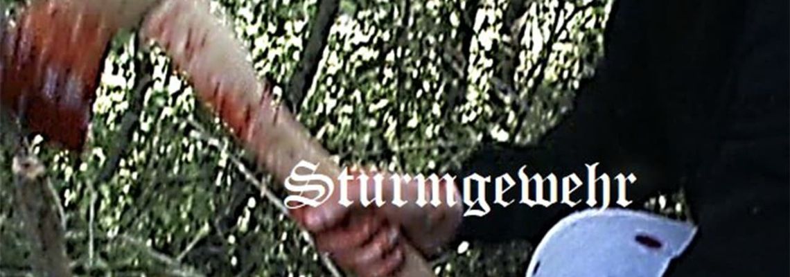 Cover Sturmgewehr