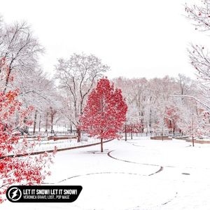 Let It Snow! Let It Snow! Let It Snow (acoustic) (Single)