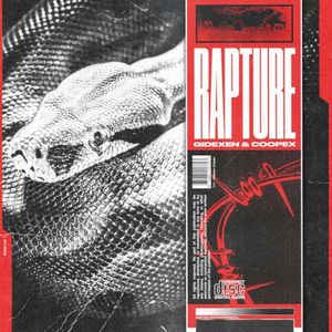 Rapture (Single)