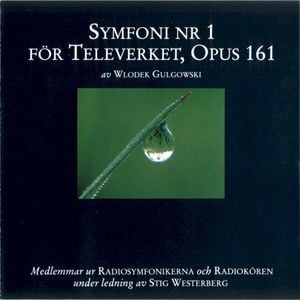 Symfoni nr 1 för Televerket, Opus 161