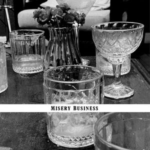 Misery Business (Single)