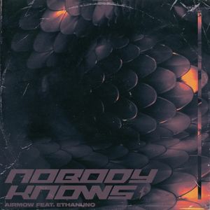 Nobody Knows (Single)