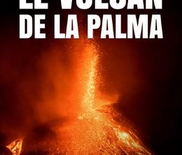 image-https://media.senscritique.com/media/000020938280/0/le_volcan_de_la_palma_la_vie_apres_l_eruption.jpg