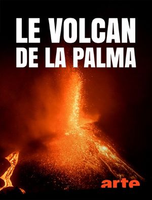 Le volcan de La Palma - La vie après l'éruption