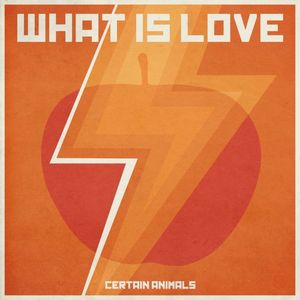 What Is Love (Single)