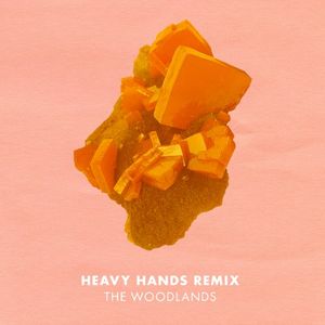 Can We Stay (Heavy Hands remix)