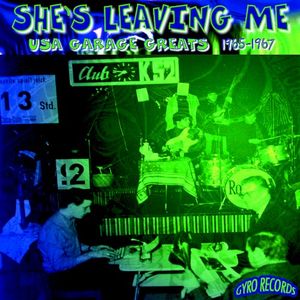 USA Garage Greats 1965-1967: Vol. 173: She's Leaving Me