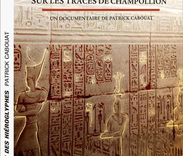 image-https://media.senscritique.com/media/000020945012/0/le_palais_des_hieroglyphes_sur_les_traces_de_champollion.jpg