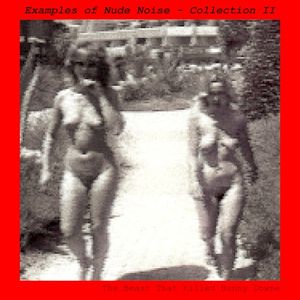 Examples of Nude Noise - Collection II