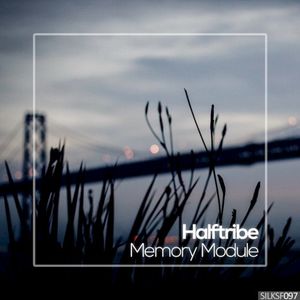 Memory Module (EP)