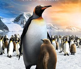 image-https://media.senscritique.com/media/000020948261/0/the_penguin_king.jpg