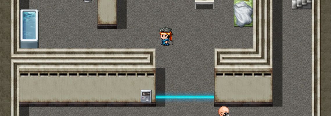 Cover Ninja Stealth 2