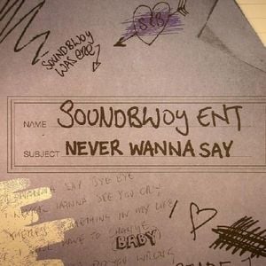 Never Wanna Say (Single)