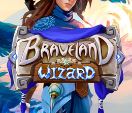 image-https://media.senscritique.com/media/000020951629/0/braveland_wizard.png