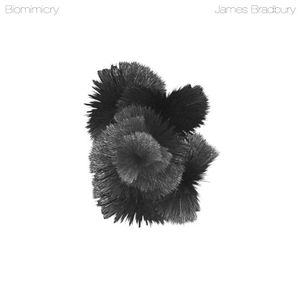 Biomimicry