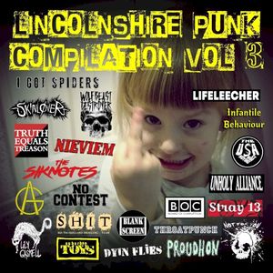 Lincolnshire Punk Compilation Vol.3