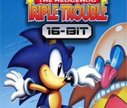 image-https://media.senscritique.com/media/000020954707/0/sonic_triple_trouble_16_bit.png