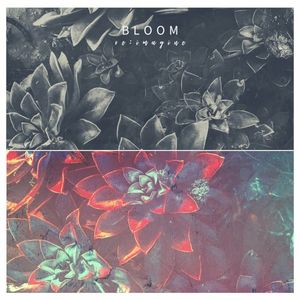 Bloom (Single)