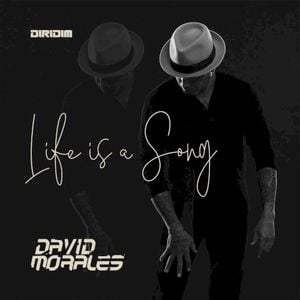 Life Is A Song