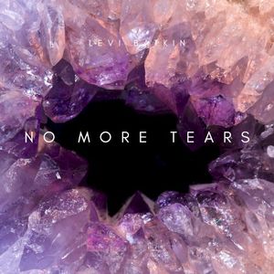 No More Tears (Single)