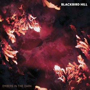 Embers in the Dark