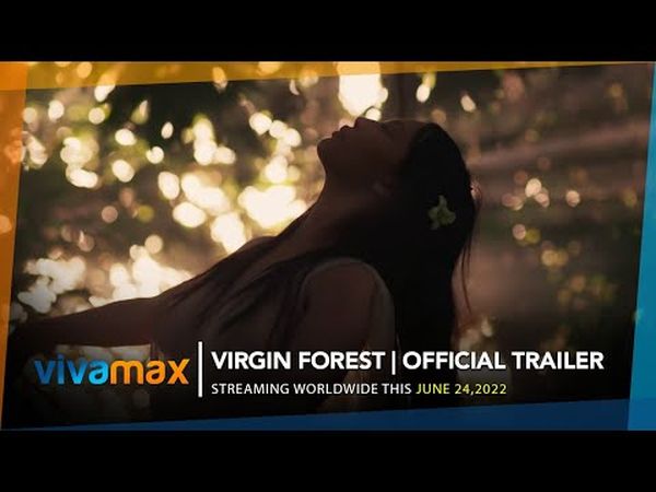 Virgin Forest