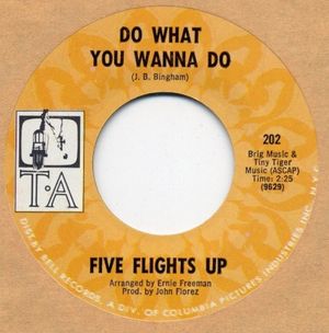 Do What You Wanna Do / Black Cat (Single)