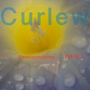 Live at Phantasmagoria and WFMU (Live)
