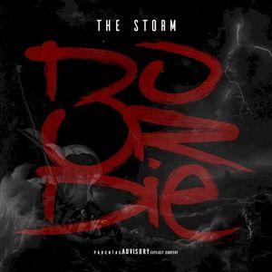 THE STORM