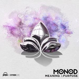 Meaning & Purpose (Single)