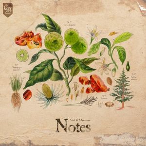 Notes (EP)