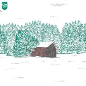 Reflections (Single)