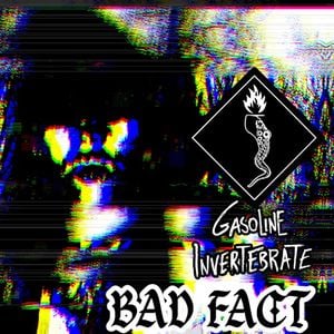 Bad Fact (Minimal Terror remix by Street Level Dentistry)