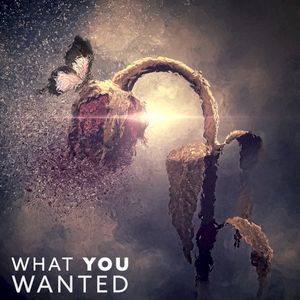 What You Wanted (Single)