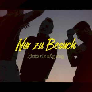 Nur zu Besuch (Single)