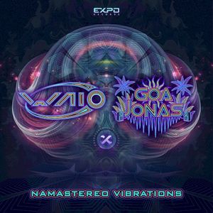 Namastereo Vibrations (Single)