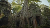 Angkor et les mystères de l'Empire khmer