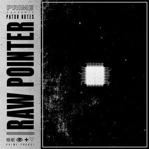 Raw Pointer (EP)