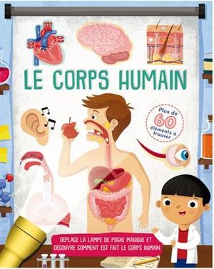 Ombre et lumière : le corps humain