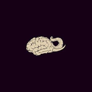 Elephant Brain (EP)