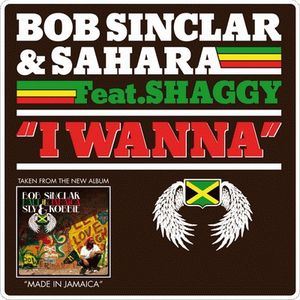 I Wanna (reggae version)