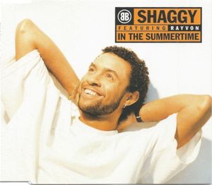 In the Summertime (Sting/Shaggy remix)