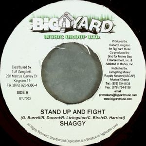 Stand Up and Fight (Single)