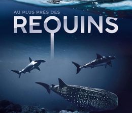 image-https://media.senscritique.com/media/000020998236/0/au_plus_pres_des_requins.jpg