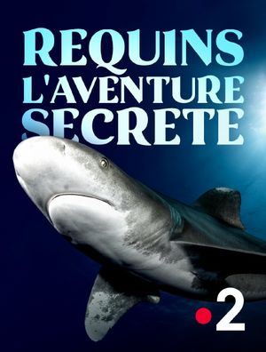 Requins - L'aventure secrète