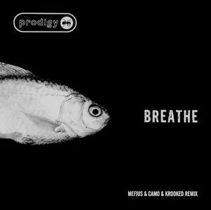 Breathe (Mefjus & Camo & Krooked remix)