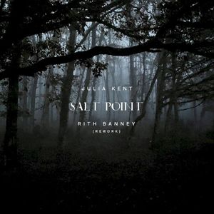 Salt Point (Rith Banney rework) (Single)