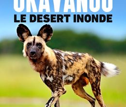 image-https://media.senscritique.com/media/000021001175/0/okavango_le_desert_inonde.jpg
