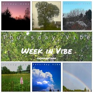 Week in Vibe (Single)